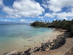 ビーチ / オーシャン ビュー