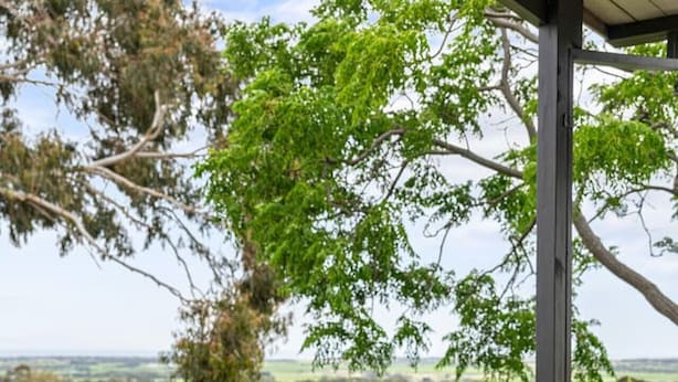 Un espace extérieur abrité, avec une table et des chaises, donnant sur un vignoble.
