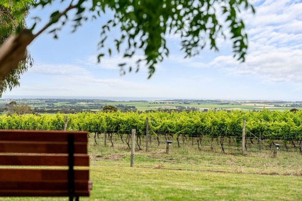 Look out across surrounding vineyards and open countryside, a peaceful backdrop that makes it easy to slow down and enjoy the wine country setting.