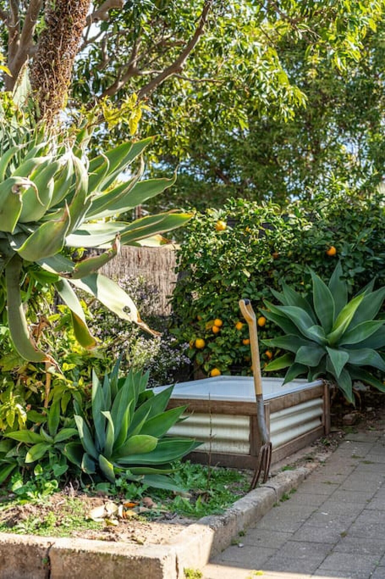 المنطقة المحيطة بالمنشأة