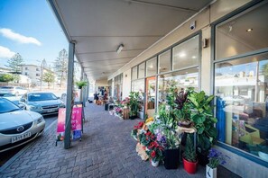 Área da propriedade