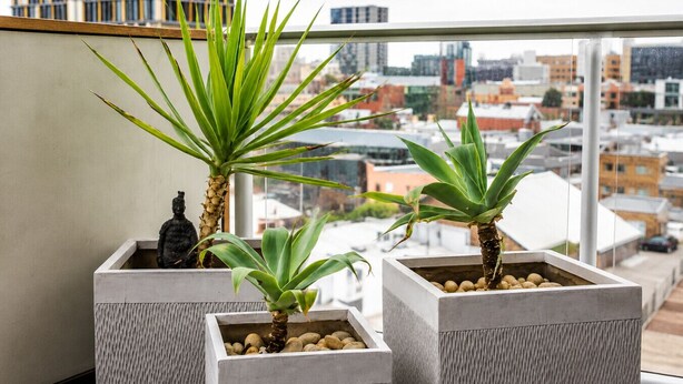 A balcony with three potted plants and a Buddha statue, overlooking a cityscape. - Get Comfy on Frew - CBD Stay near Parklands & Dining (Adelaide)