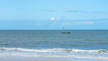Playa en los alrededores