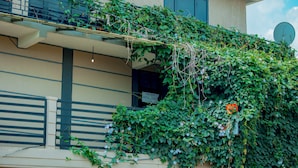 Un edificio con un balcón cubierto de follaje y una antena parabólica.