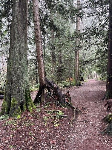 Place near the Coquitlam River Park