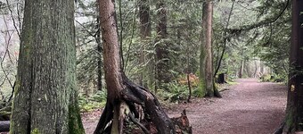 Place near the Coquitlam River Park