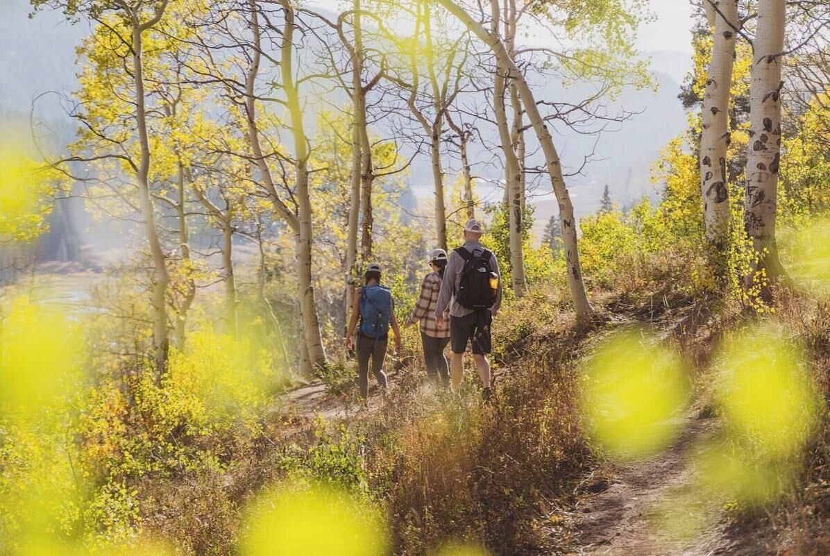 Tres personas caminando por un sendero boscoso rodeado de árboles.