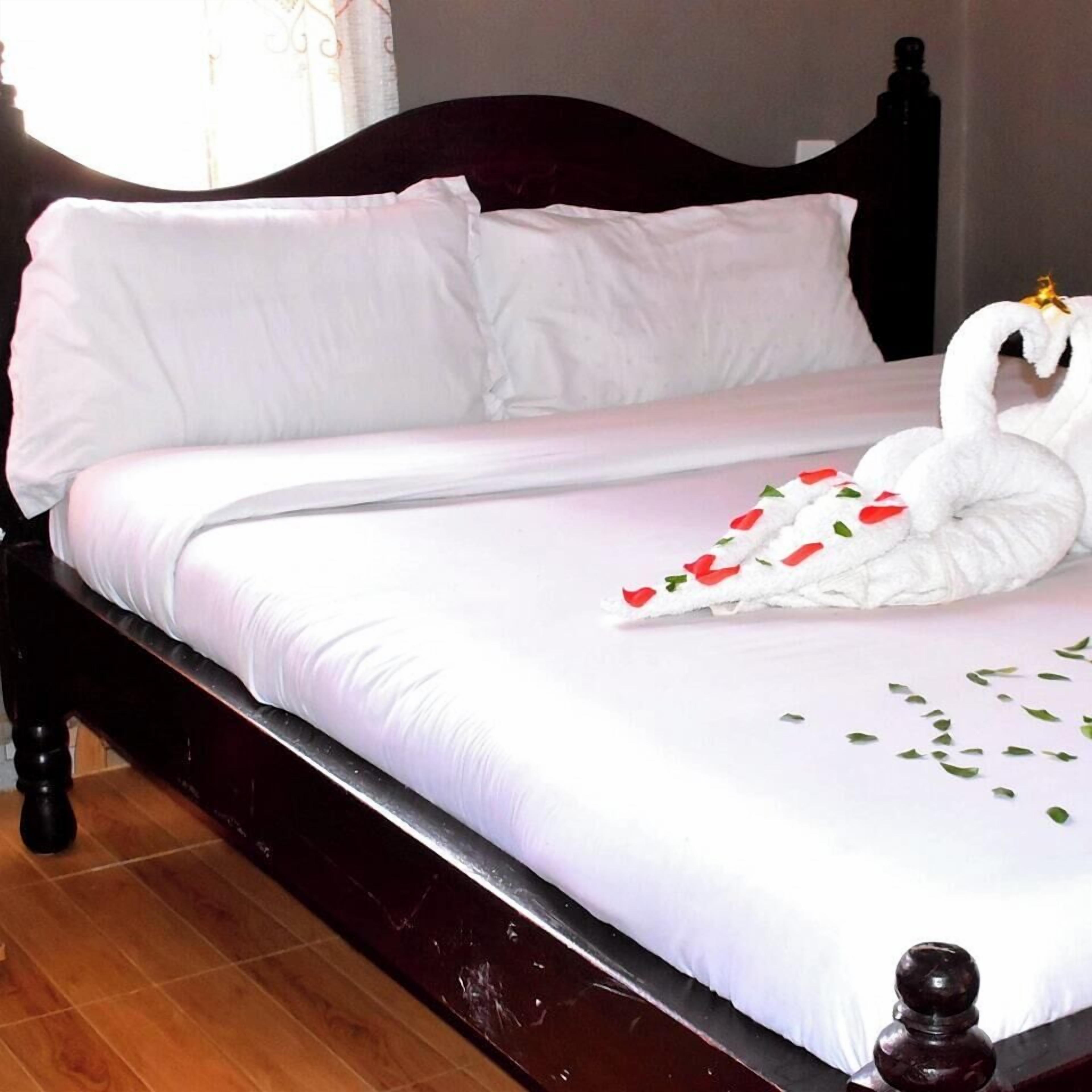 Habitación individual superior, vista al jardín | Wifi gratis y ropa de cama 