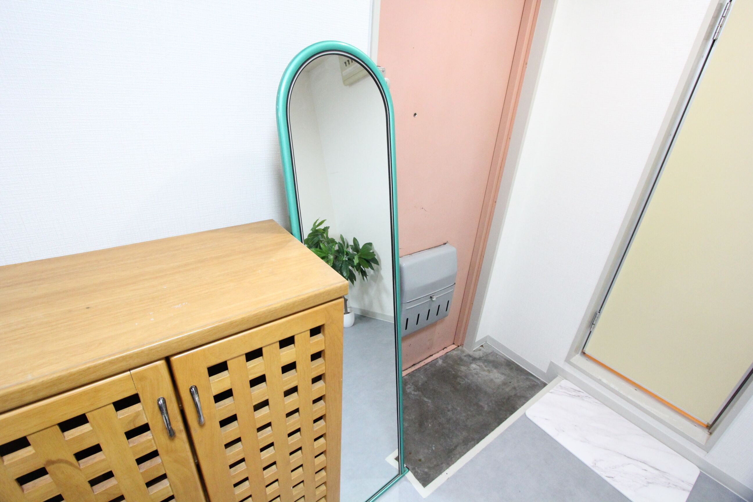 Un baño con un mueble de madera, un espejo, una planta y una puerta.