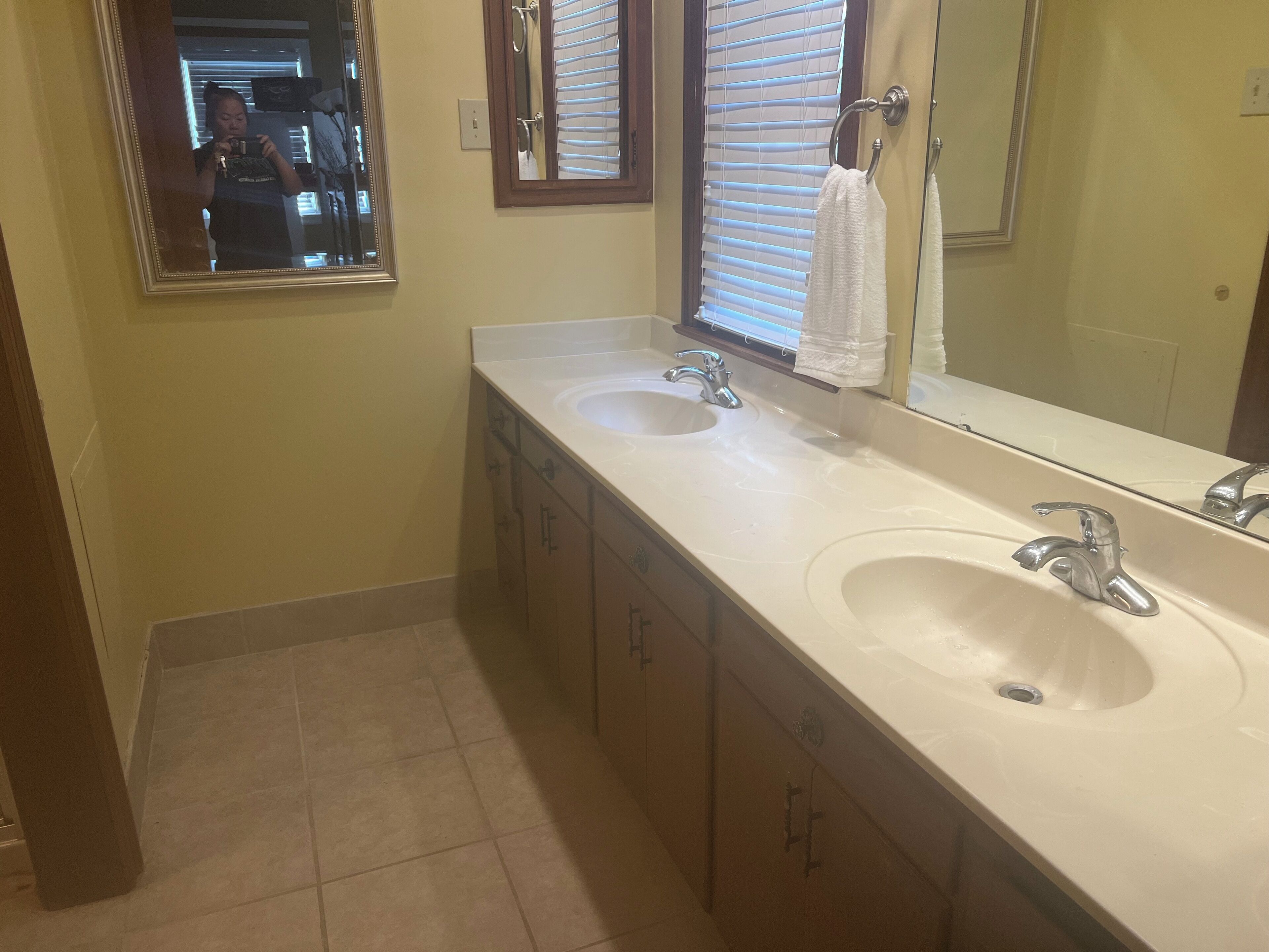 Shower, towels, toilet paper