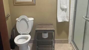 Douche, serviettes fournies, papier toilette