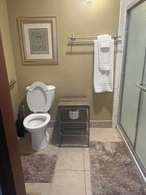 淋浴设施、毛巾、卫生纸