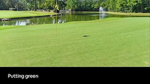 Un campo de golf con un putting green, un estanque y árboles al fondo.