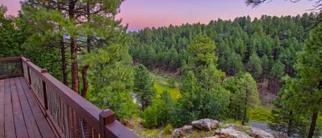 Une terrasse en bois surplombant une zone boisée, avec vue sur une rivière et un paysage rocheux.