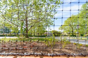 المنطقة المحيطة بالمنشأة