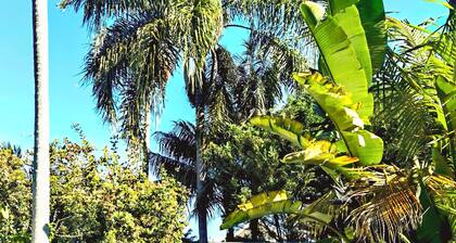 Boutique Artistic Home-Near North Syd & Kirribilli