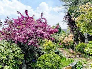 Ein Garten mit verschiedenen Pflanzen und einem großen blühenden Baum.