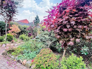 Ein Garten mit verschiedenen Pflanzen und einem Weg.