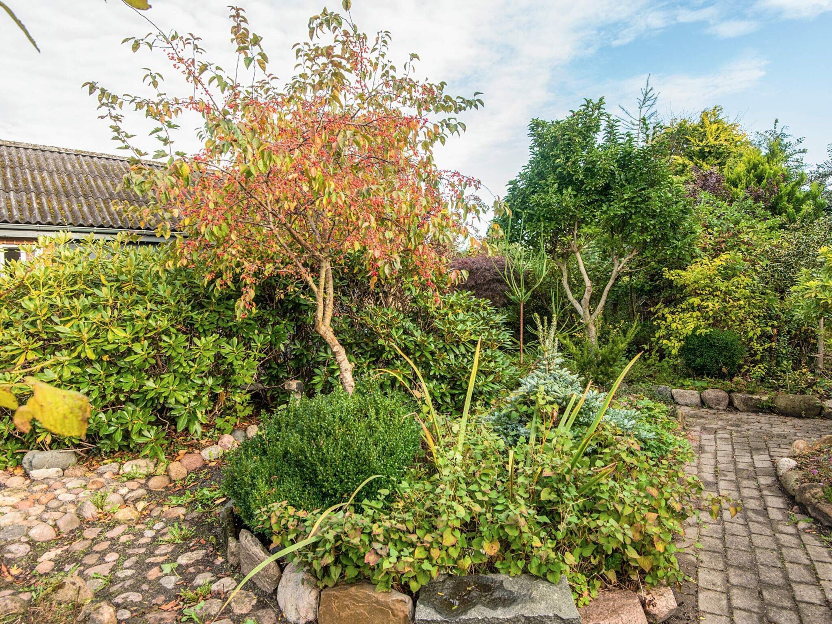 House | View from property