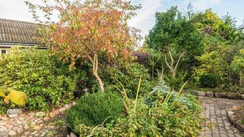 House | View from property