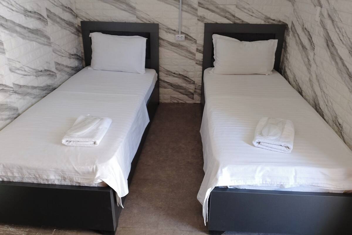 Two single beds with white linens and pillows, a marble-patterned wall, and a brown carpet.