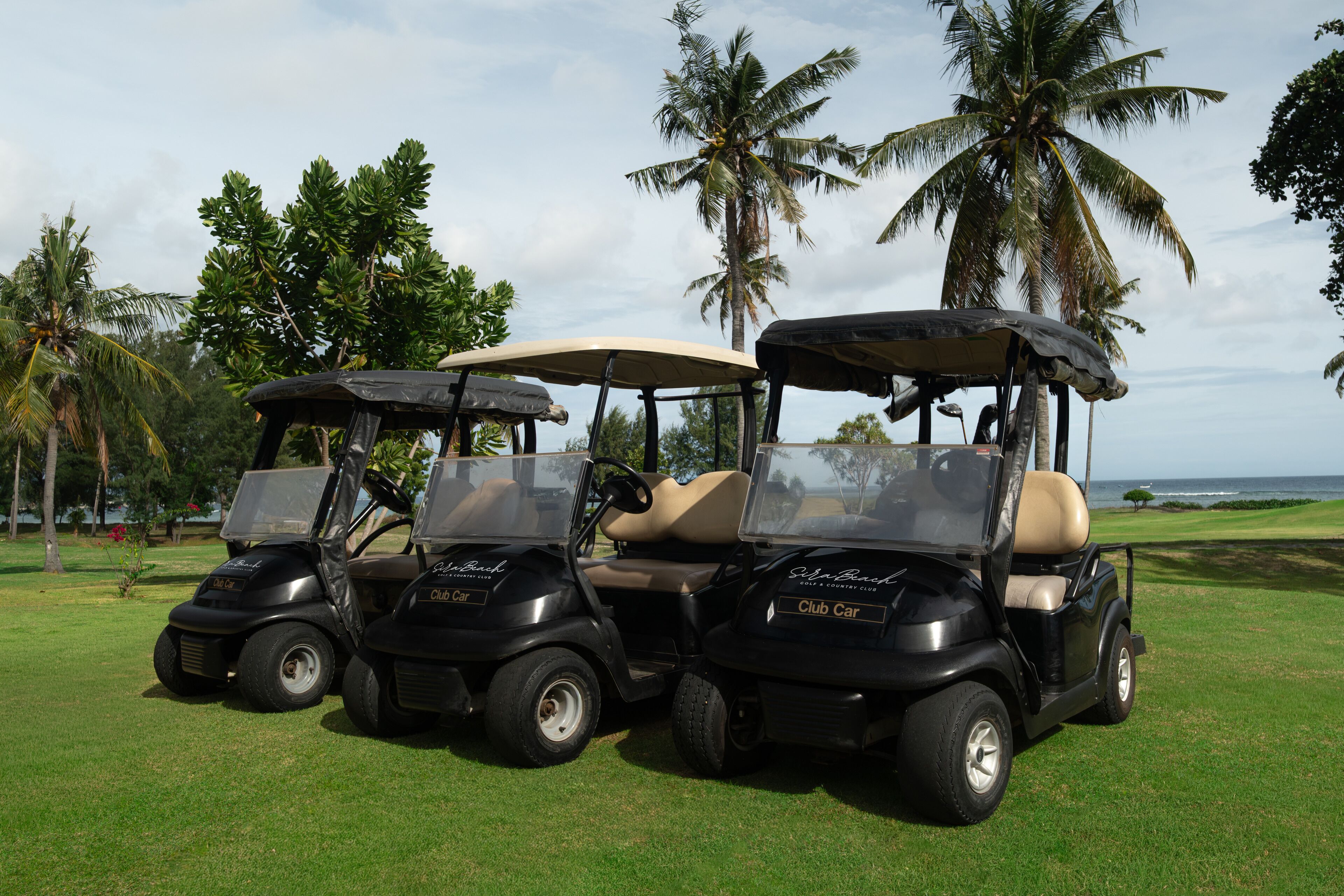Tres carritos de golf estacionados en un césped con palmeras y vista al océano de fondo.