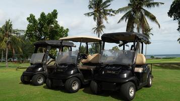 Tres carritos de golf estacionados en un césped con palmeras y vista al océano de fondo.