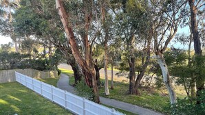 Un espace extérieur clos, agrémenté d’arbres et d’un sentier.