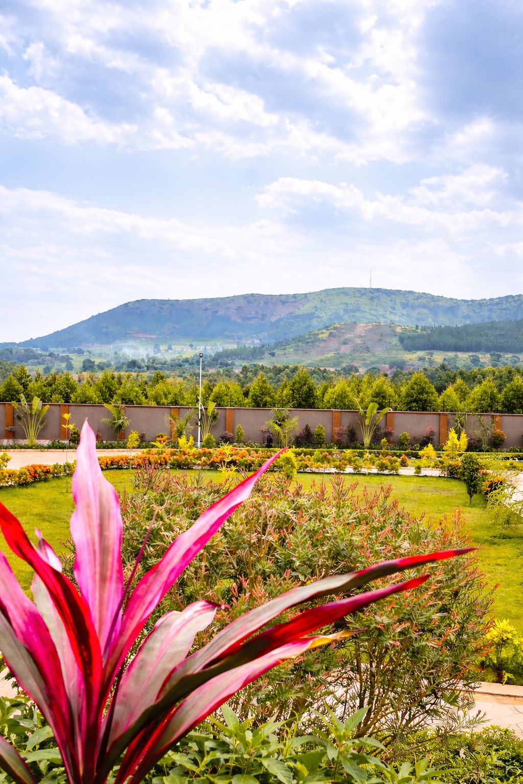 Un jardin aménagé avec une grande variété de plantes, offrant une vue sur un paysage vallonné en arrière-plan.