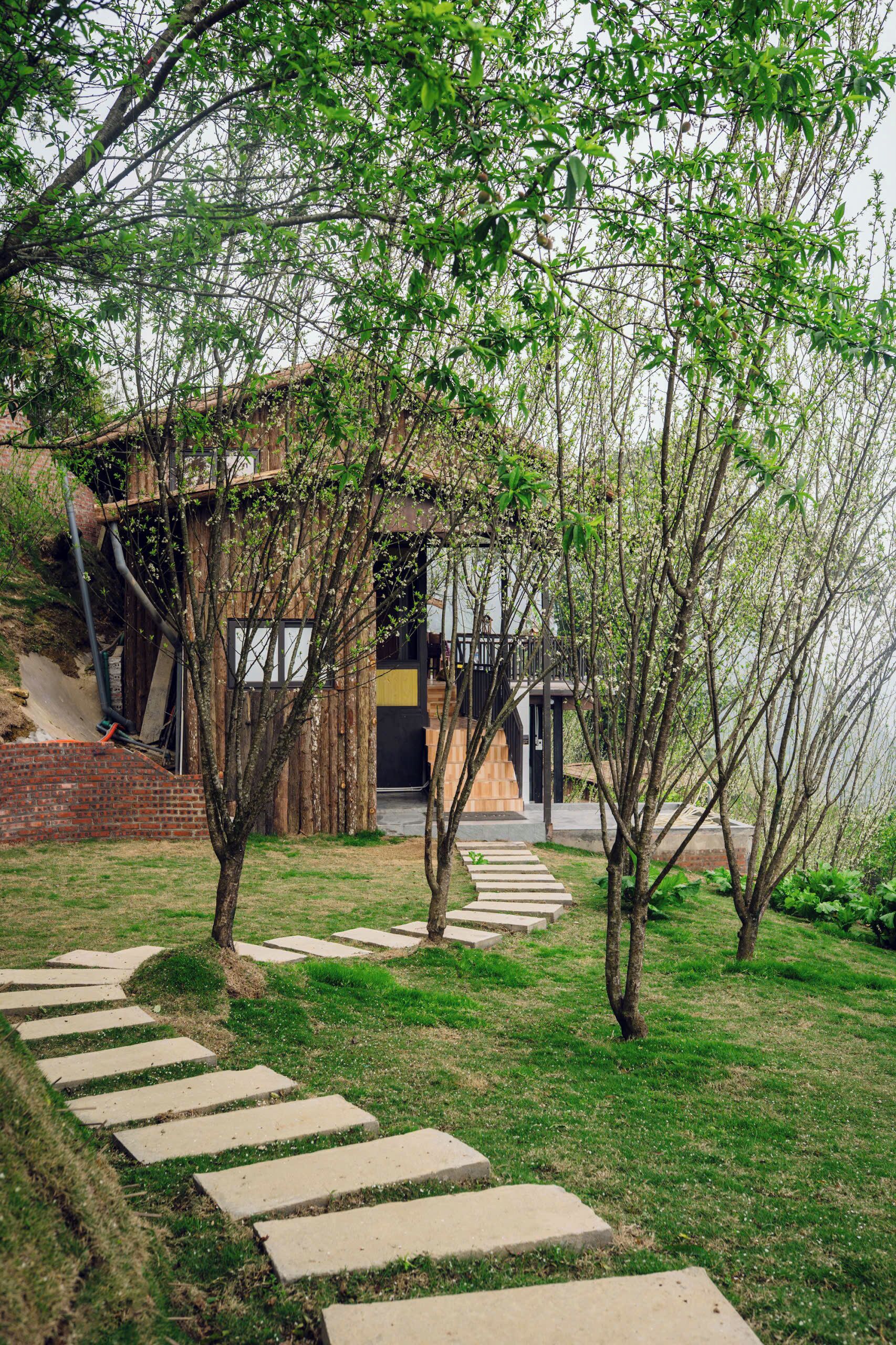 A pathway leading to a building with a modern design, surrounded by greenery and trees.