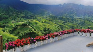 Terraced tea fields with a row of potted flowers in the foreground. - Sapana Mountain Retreat (Sa Pa)