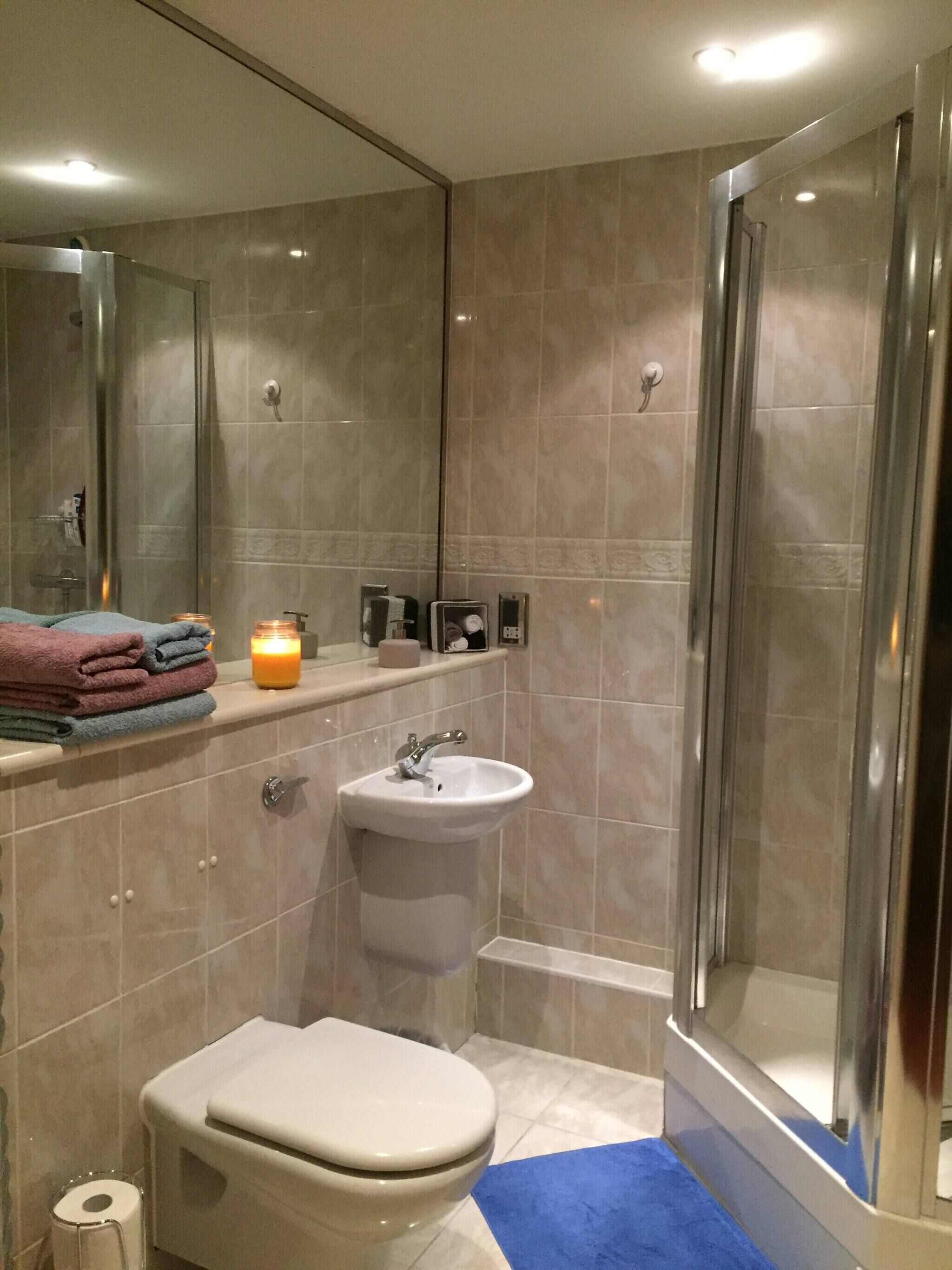 Shower, hair dryer, towels