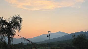 Grillaus-/piknikalue