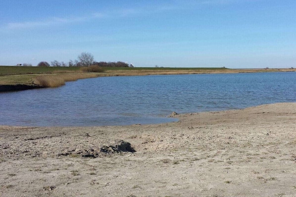 A natural landscape with a body of water, sandy shore, and sparse vegetation.