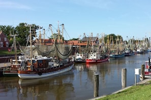 A marina with several fishing boats docked.
