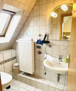 Shower, hair dryer