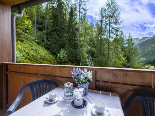 Nice apartment for 4 guests with WIFI, TV, terrace and pets allowed