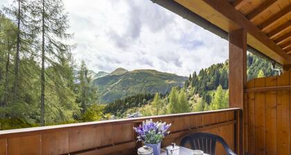 Schöne Wohnung mit Whirlpool, W-LAN, TV, Terrasse, Haustiere erlaubt und Panoramablick