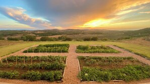 A garden with raised beds and a gravel path. - Maniero in Maremma, luxury villa (Montiano)