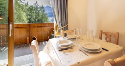 Nice apartment for 3 guests with WIFI, TV, terrace and pets allowed