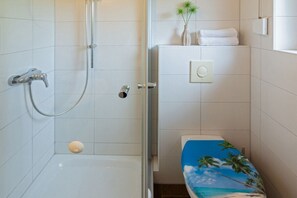 Shower, hair dryer