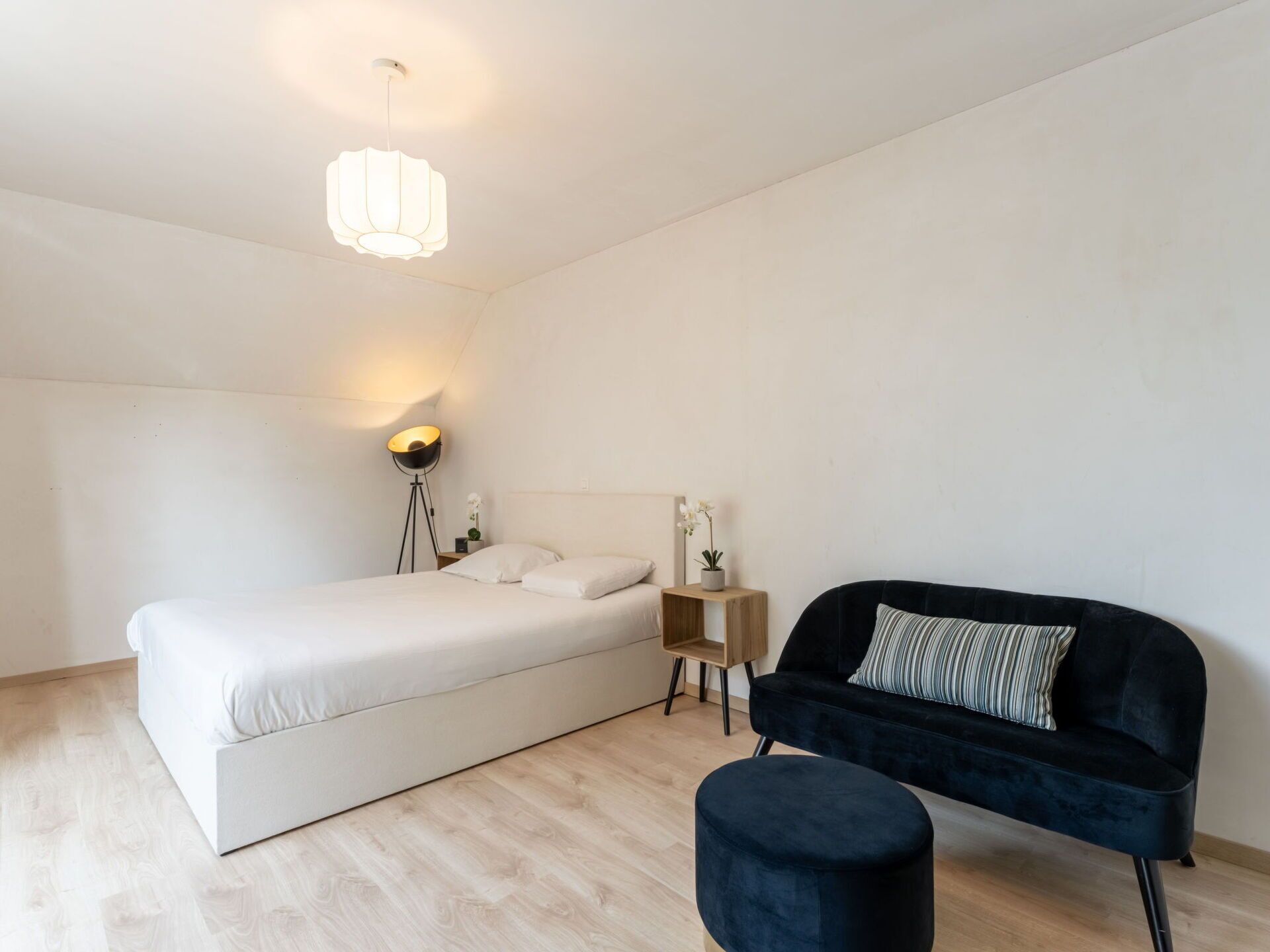 Une chambre à coucher moderne avec un lit, une lampe de chevet, une table de chevet, une plante en pot et un canapé de couleur foncée.