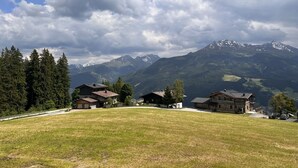 Eine Berglandschaft mit Häusern an einem grasbewachsen Hang, mit Blick auf schneebedeckte Gipfel.