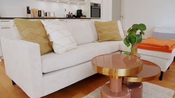 Televisor
