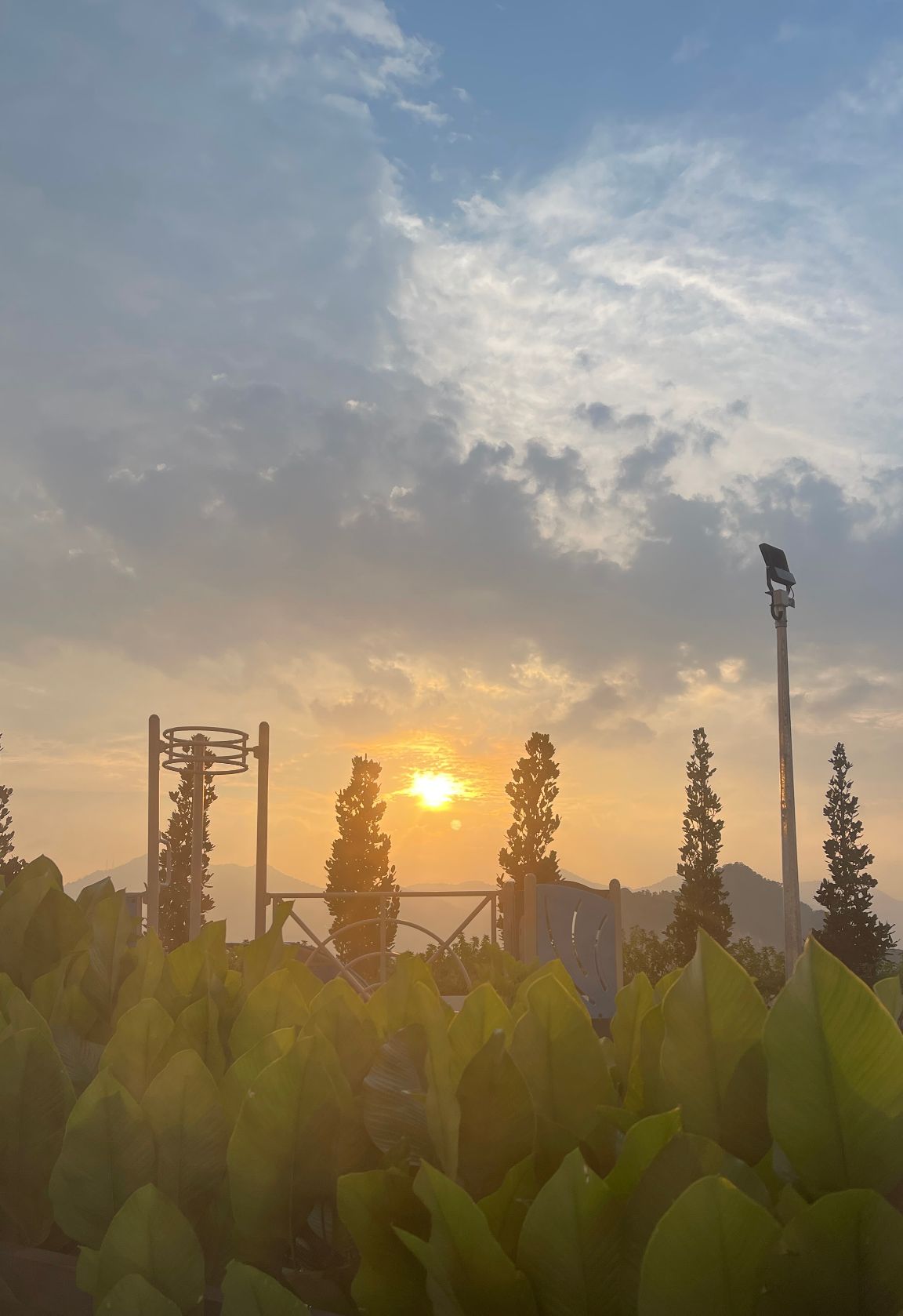 庭園