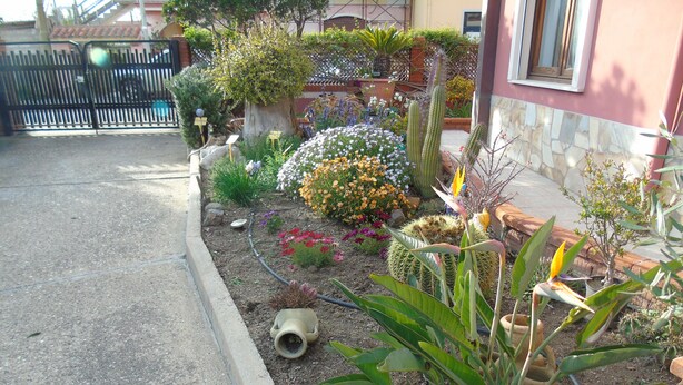 A garden with various plants and a cactus, a metal fence, and a building with a window. - Casa Da Pina B&B (Cabras)