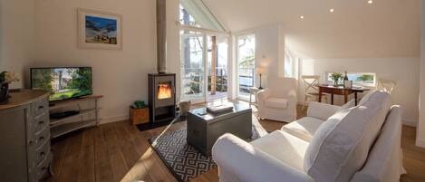 Télévision, lecteur de DVD, livres, chaîne hi-fi