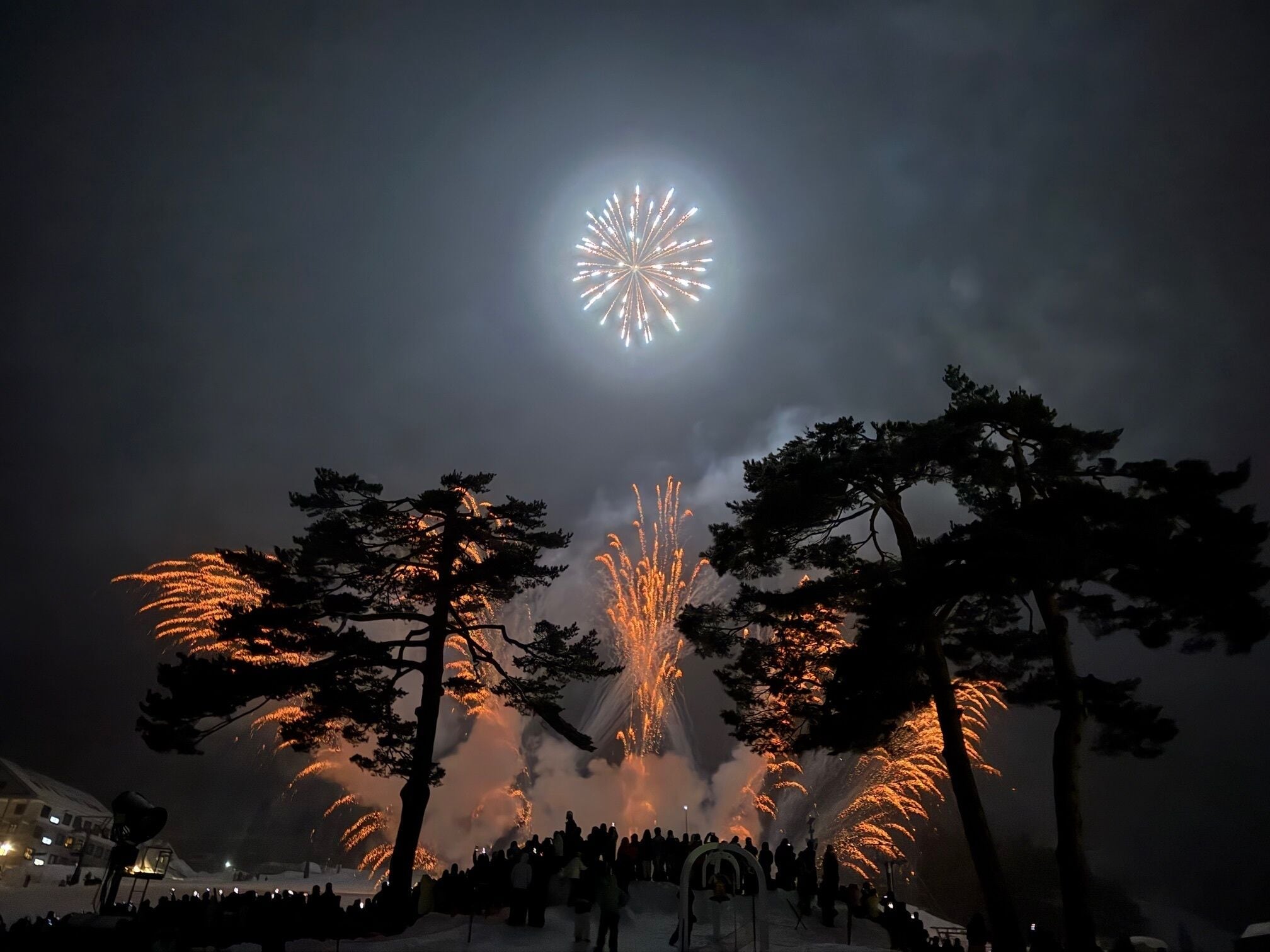 A nighttime outdoor event with fireworks, trees, and a crowd of people.
