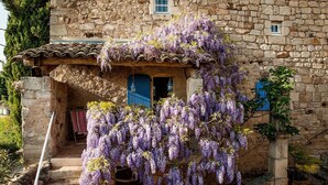 A stone building with a traditional tiled roof and a staircase leading to a door with a blue shutter. - Le Mas Bleu (Rosières)
