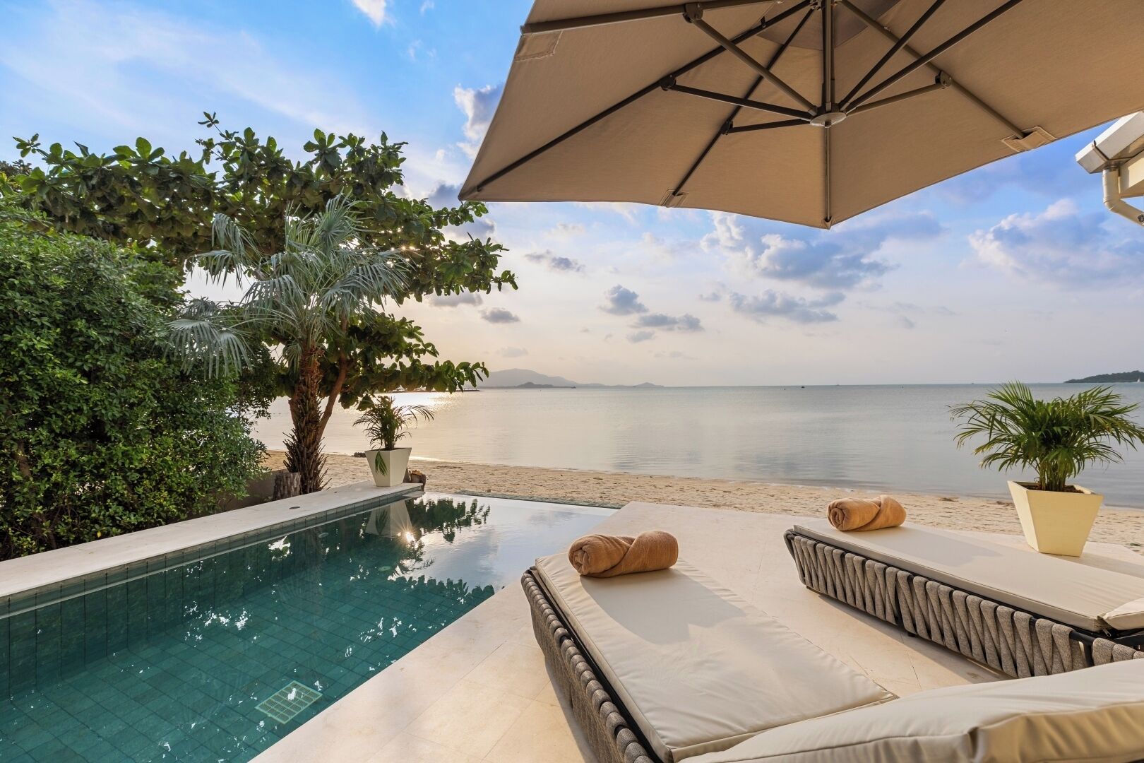 An infinity pool with a view of the sea, a beach, and a palm tree.